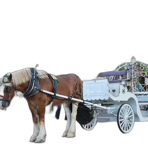 car, robot, animal, 3d render transparent PNG cut-out
