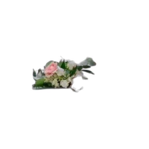 crown, flower, jewelry, hat transparent PNG cut-out