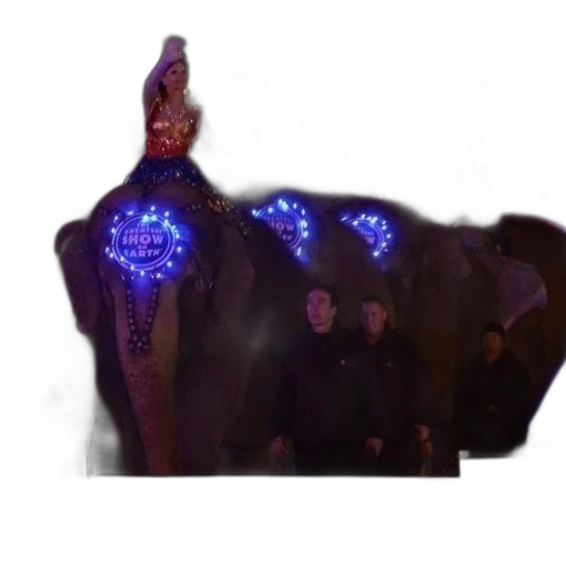 jacket, crown, staff, mask transparent PNG cut-out