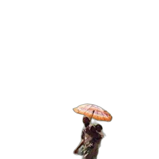 umbrella, staff, hat, food transparent PNG cut-out