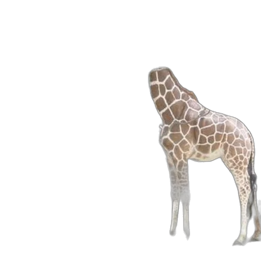 animal, creature, staff, 3d render transparent PNG cut-out