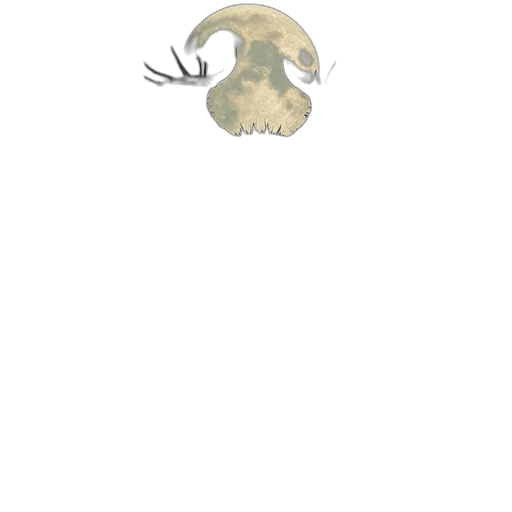 creature, mask, animal, hat transparent PNG cut-out