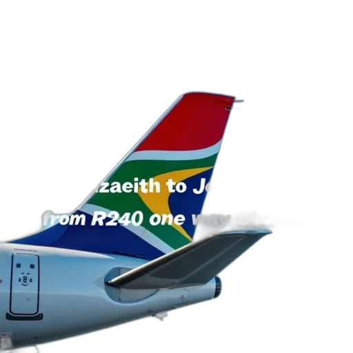 first, image, shows, close-up transparent PNG cut-out