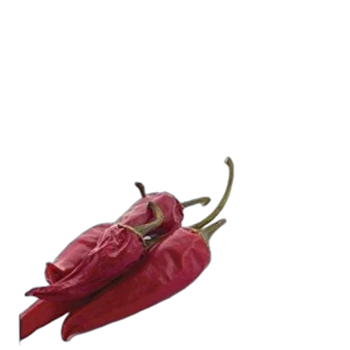 shoes, weapon, hat, staff transparent PNG cut-out