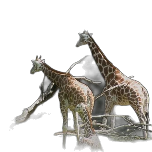 animal, jewelry, concept art, 3d render transparent PNG cut-out