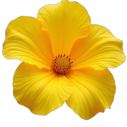 flower, crown, dress, weapon transparent PNG cut-out