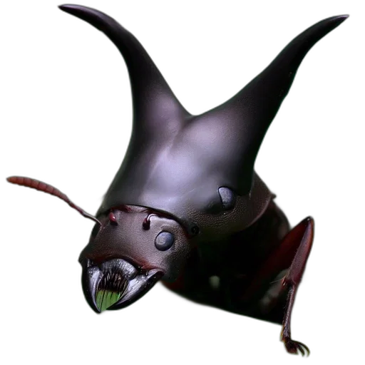 creature, mask, animal, face transparent PNG cut-out