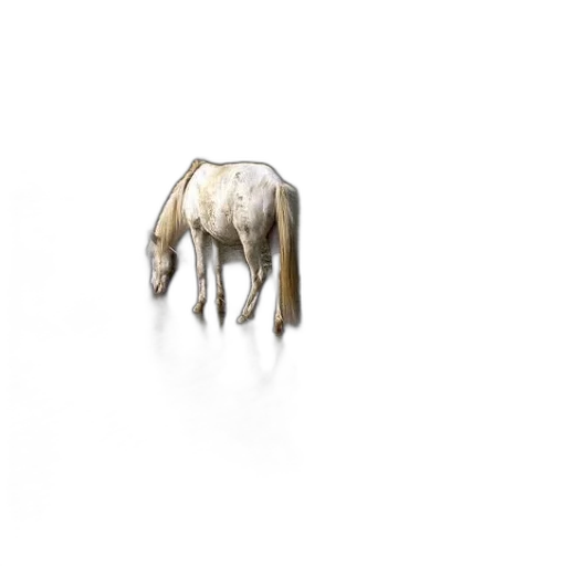 animal, creature, hair, jewelry transparent PNG cut-out