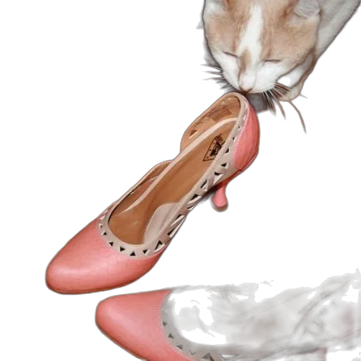 shoes, animal, jewelry, food transparent PNG cut-out