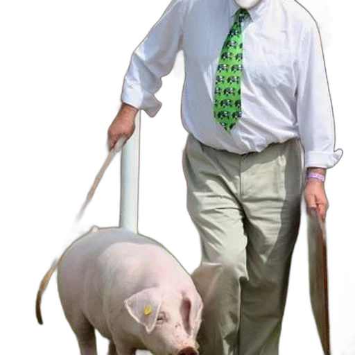 animal, creature, staff, weapon transparent PNG cut-out