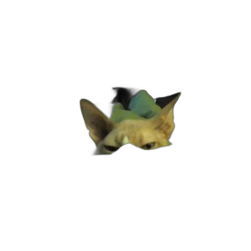 animal, creature, hat, mask transparent PNG cut-out