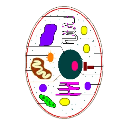 jewelry, food, crown, staff transparent PNG cut-out