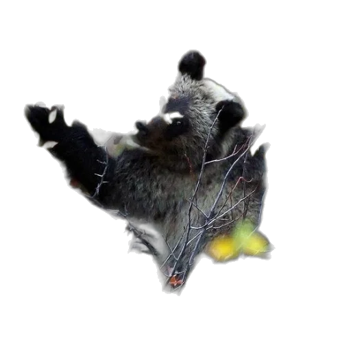 animal, dragon, creature, mask transparent PNG cut-out