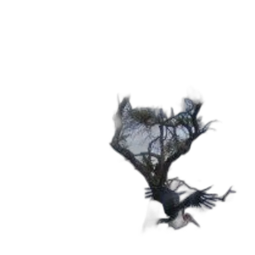 dragon, tree, creature, hair transparent PNG cut-out