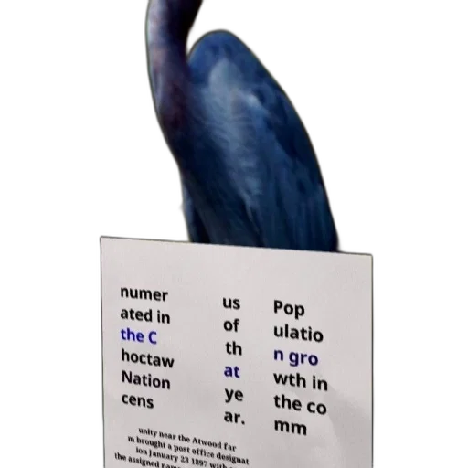 animal, weapon, tree, food transparent PNG cut-out