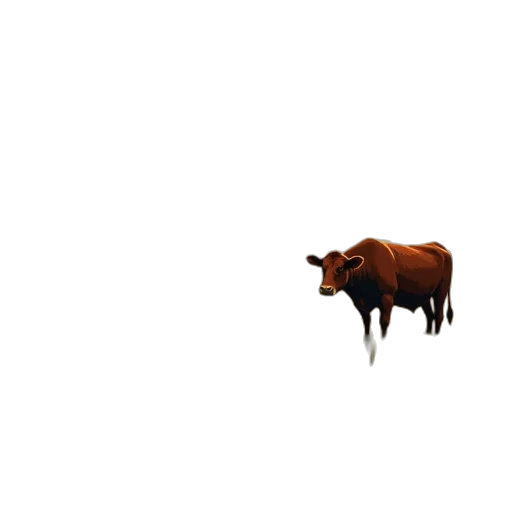 animal, creature, food, furniture transparent PNG cut-out