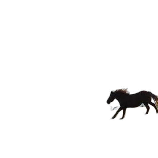 animal, creature, dragon, hair transparent PNG cut-out