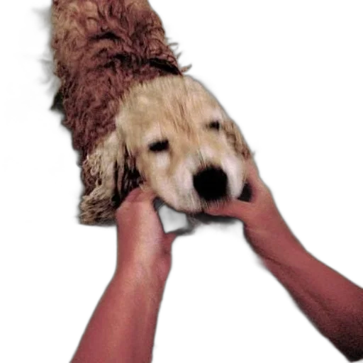 hat, staff, animal, mask transparent PNG cut-out