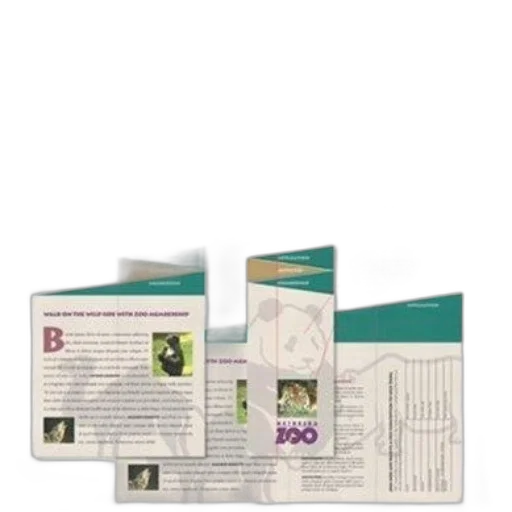 image, book, cover, titled transparent PNG cut-out
