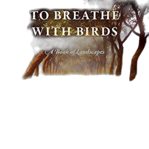 fog, breathe, birds, book transparent PNG cut-out