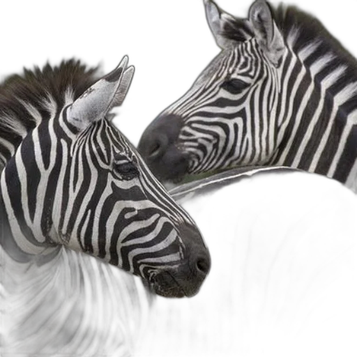 animal, jewelry, photorealistic, concept art transparent PNG cut-out
