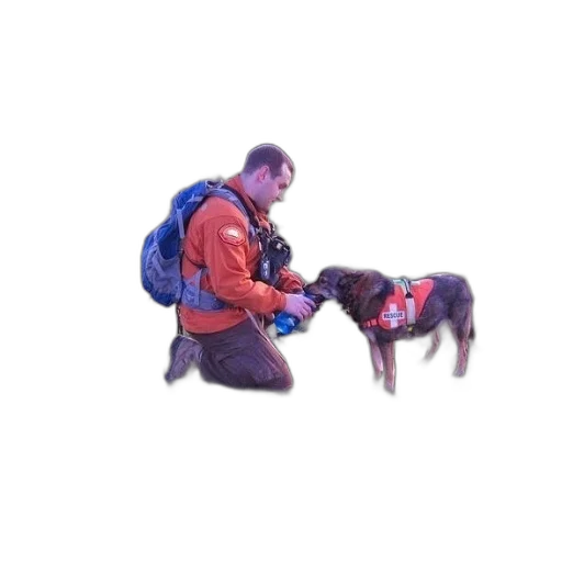 animal, jacket, staff, creature transparent PNG cut-out
