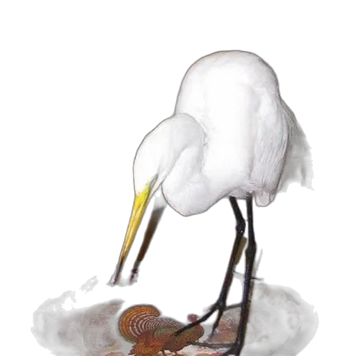 hat, staff, animal, shoes transparent PNG cut-out