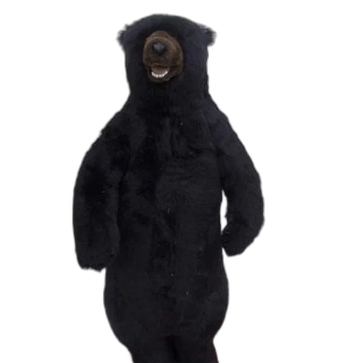 jacket, creature, animal, dress transparent PNG cut-out