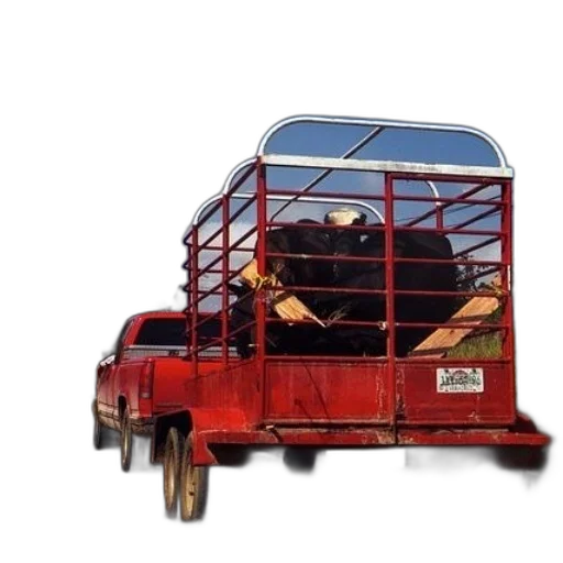 animal, car, furniture, weapon transparent PNG cut-out