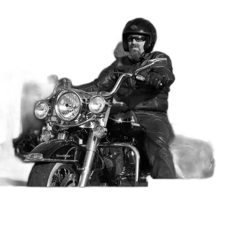 animal, jacket, creature, car transparent PNG cut-out