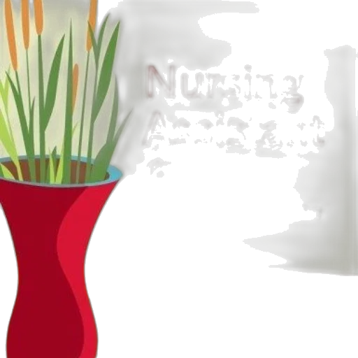 flower, food, furniture, 3d render transparent PNG cut-out
