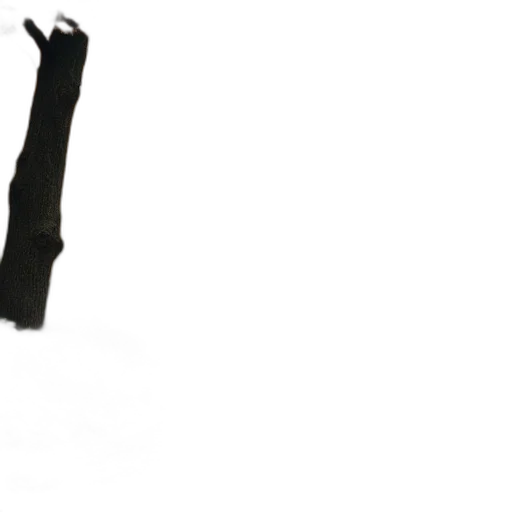 staff, weapon, umbrella, shoes transparent PNG cut-out