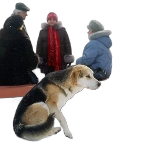 hat, animal, umbrella, staff transparent PNG cut-out