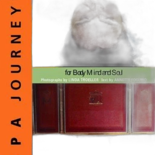 fog, book, cover, orange transparent PNG cut-out