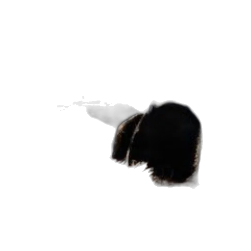 hair, hat, animal, staff transparent PNG cut-out