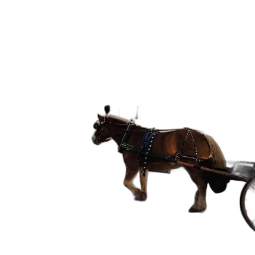 animal, staff, weapon, furniture transparent PNG cut-out