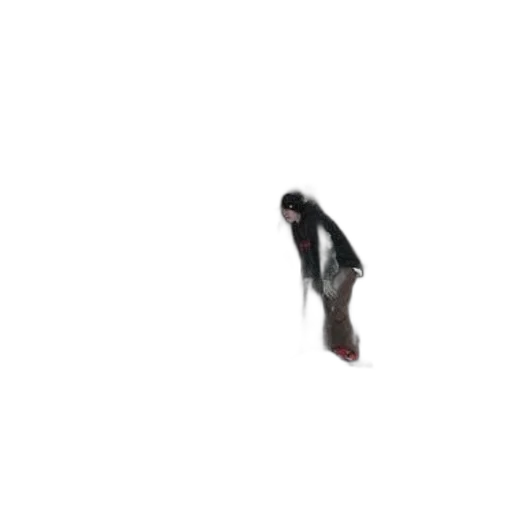 shoes, weapon, hat, umbrella transparent PNG cut-out
