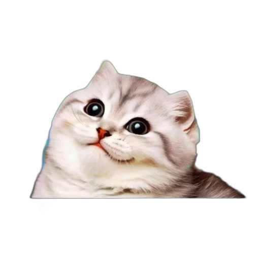 face, animal, hat, robot transparent PNG cut-out