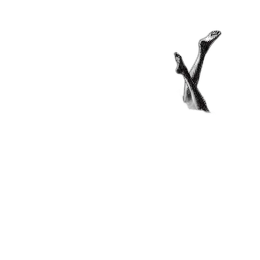 shoes, sword, staff, weapon transparent PNG cut-out