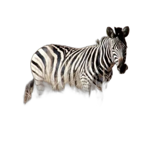 animal, creature, jewelry, staff transparent PNG cut-out