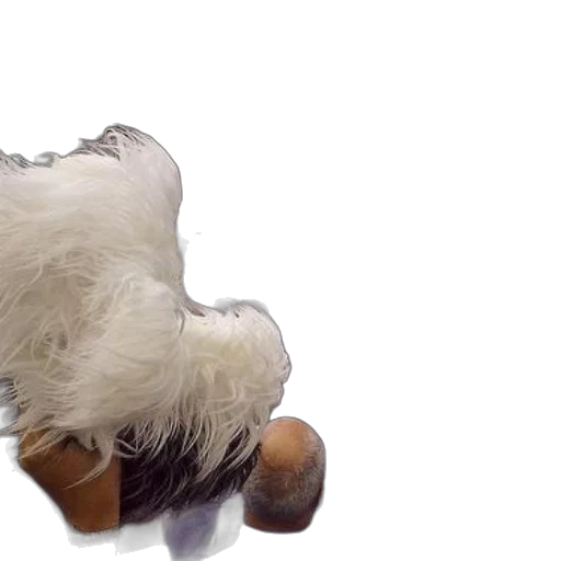 hair, animal, mask, shoes transparent PNG cut-out