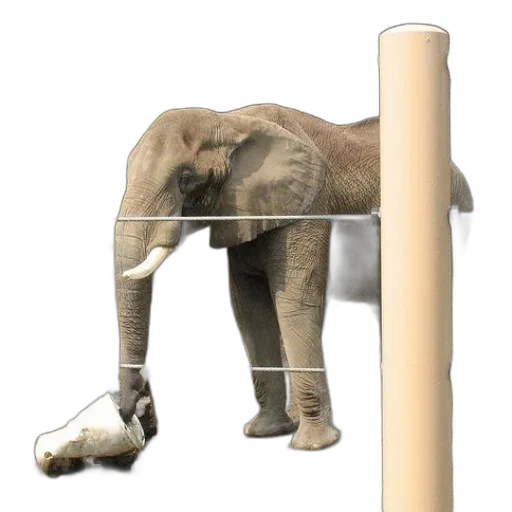 animal, staff, creature, weapon transparent PNG cut-out
