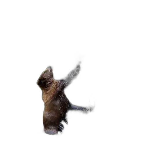 animal, creature, staff, hair transparent PNG cut-out