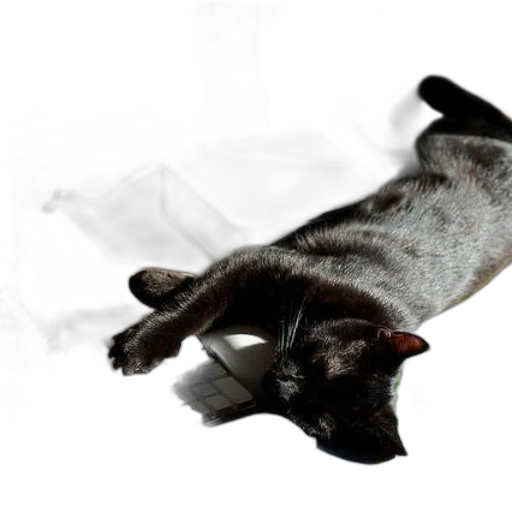 animal, staff, creature, dragon transparent PNG cut-out