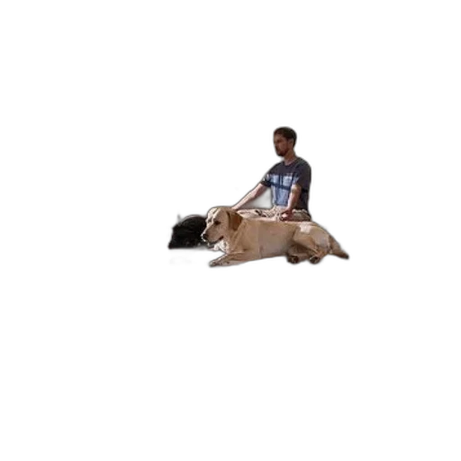 animal, creature, furniture, weapon transparent PNG cut-out