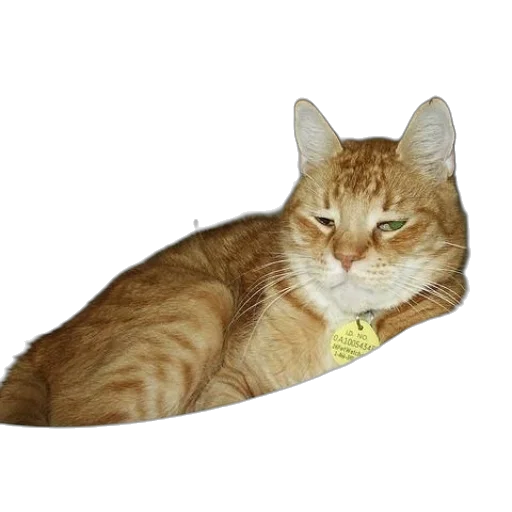staff, jewelry, animal, crown transparent PNG cut-out