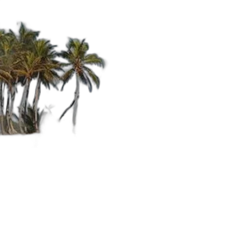 tree, umbrella, hat, hair transparent PNG cut-out