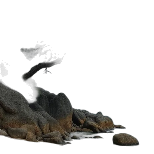 dragon, hair, shoes, creature transparent PNG cut-out