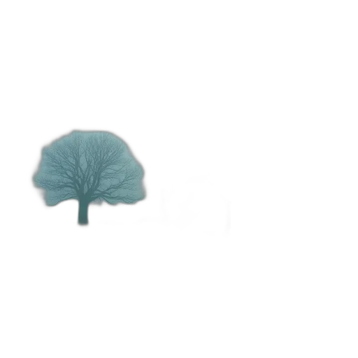 hat, umbrella, tree, crown transparent PNG cut-out