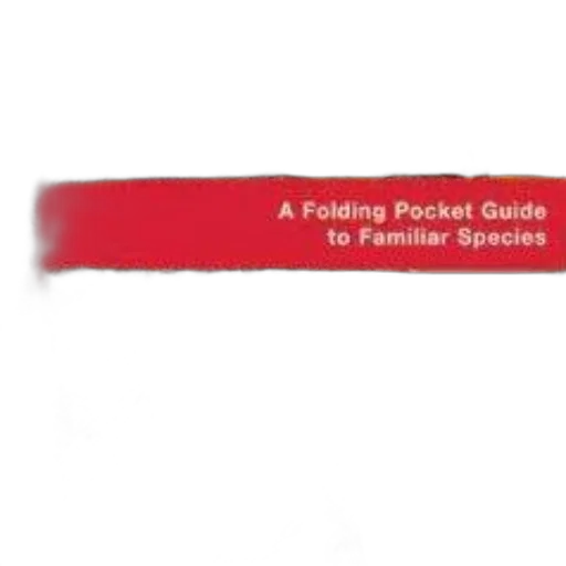 jacket, staff, jewelry, folding transparent PNG cut-out